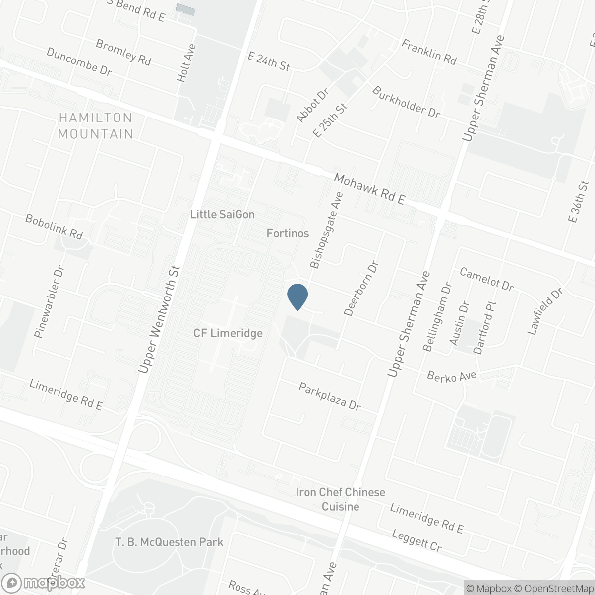 24 NEWCASTLE Court, Hamilton, Ontario L8V 0A6